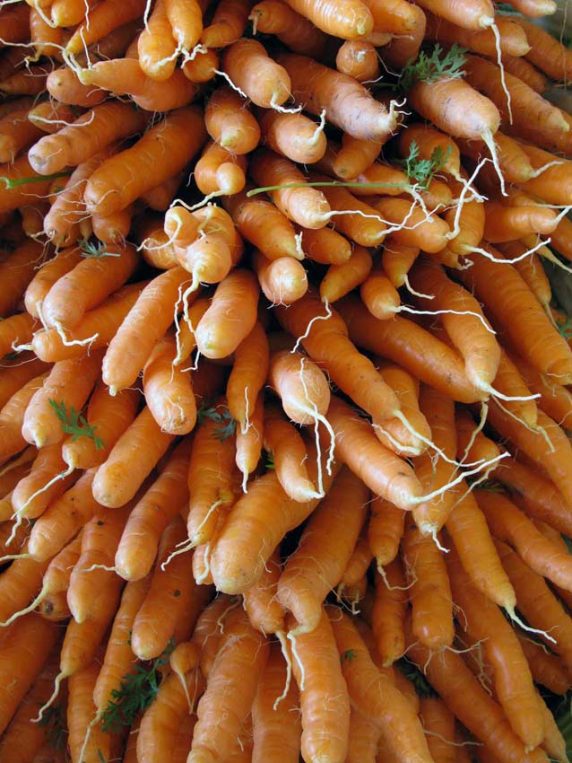 carrots