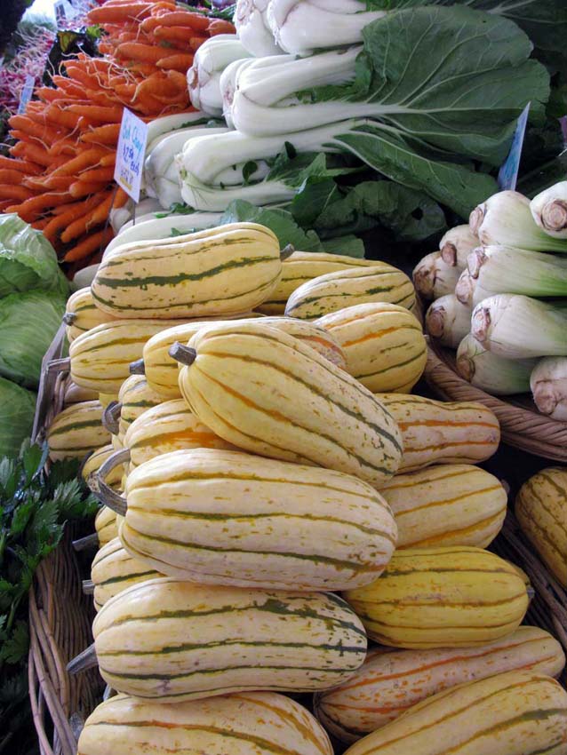 delicata-squash